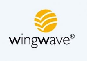 wingwave-Coaching - Heilpraxis für Therapie und Coaching